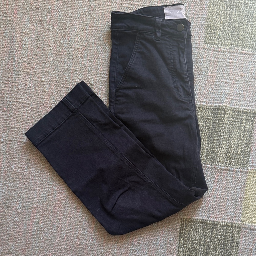 Everlane Black Slim Ponte Pants